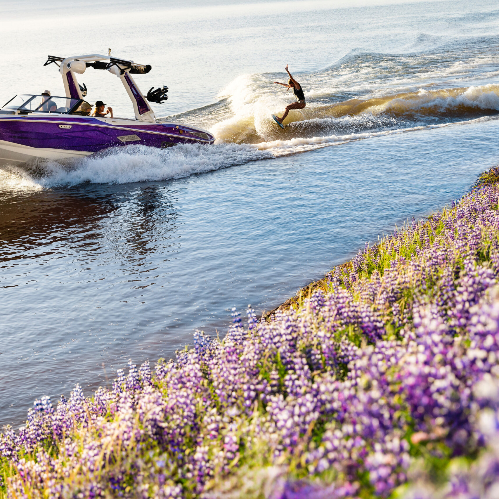 Ava Stewart rides a wakeboard as a boat pulls her along a river, gliding past a bank covered with dense purple wildflowers under clear daylight.