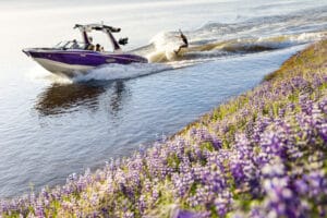 A person wakeboarding behind a purple and white speedboat on a river bordered by blooming purple wildflowers.